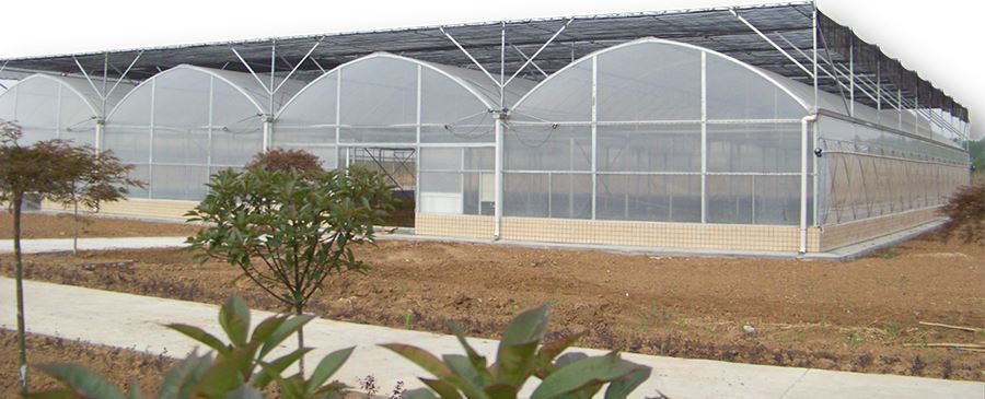 6 mil greenhouse plastic home depot supplier