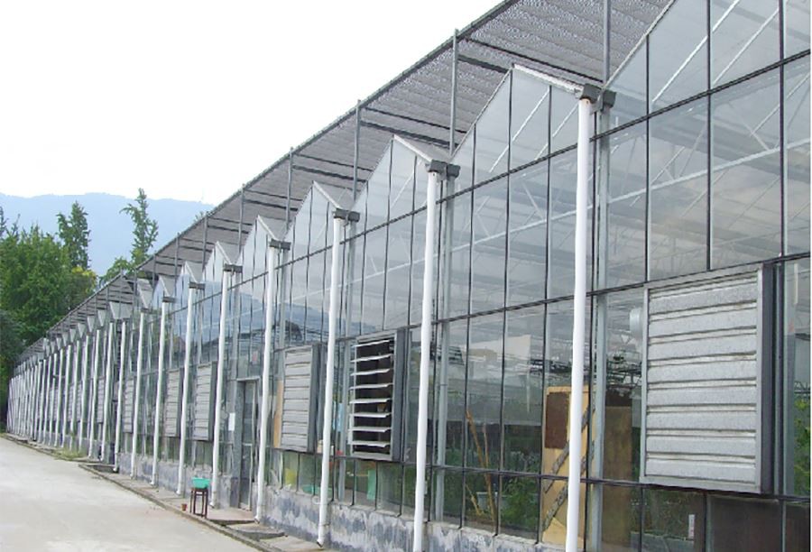 pvc dome greenhouse price