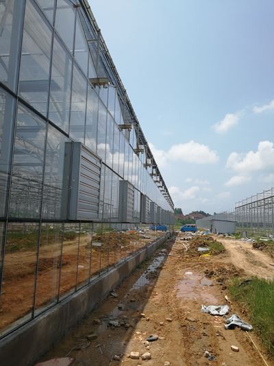 Glass Greenhouse Project
