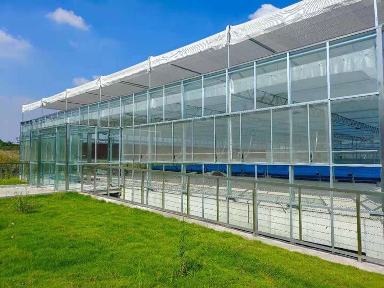 How to solve the cause of the fading of the endurance board How to solve the cause of the fading of the endurance board