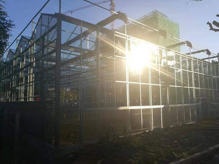 How should greenhouses choose greenhouse film How should greenhouses choose greenhouse film