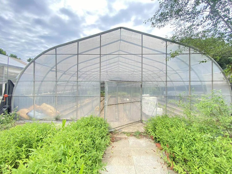 How to adjust the light environment in a solar greenhouse