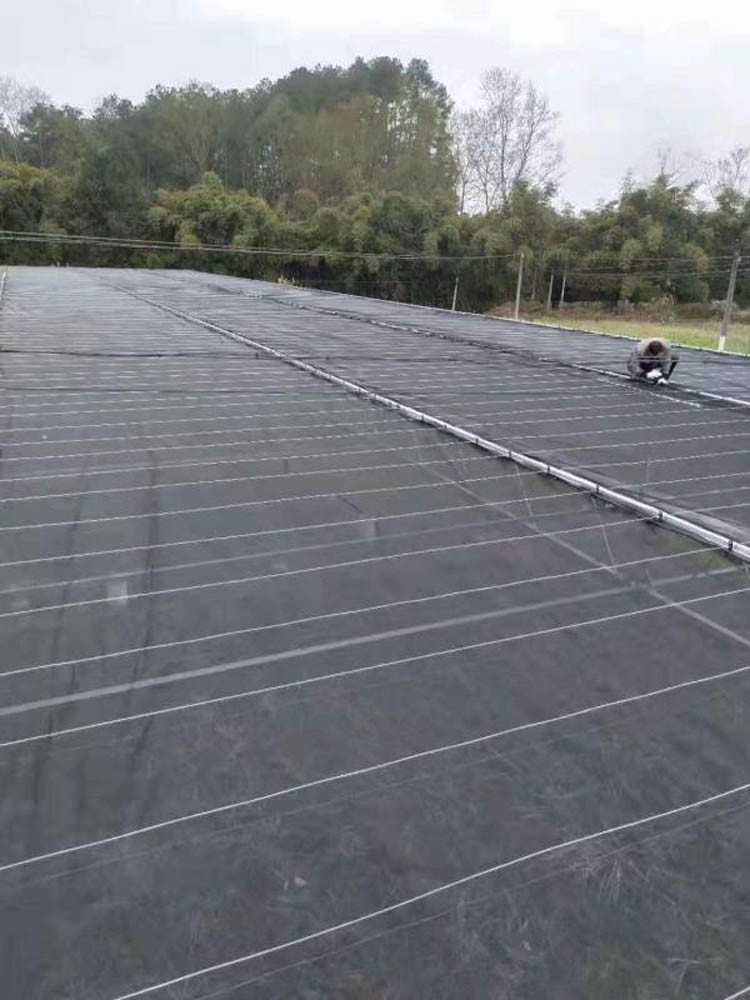 Shading Greenhouse