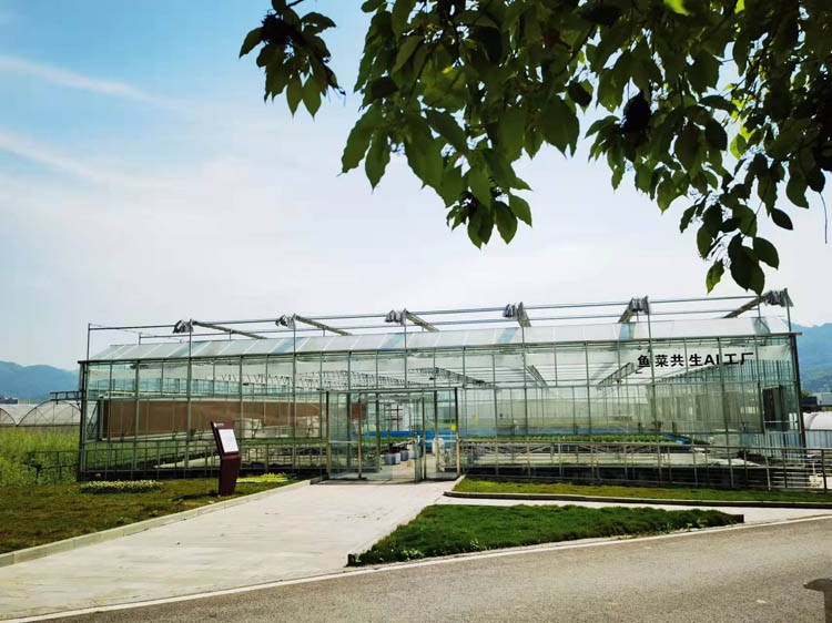 Smart greenhouse is an agricultural industry with modern scientific and technological achievements Smart greenhouse is an agricultural industry with modern scientific and technological achievements