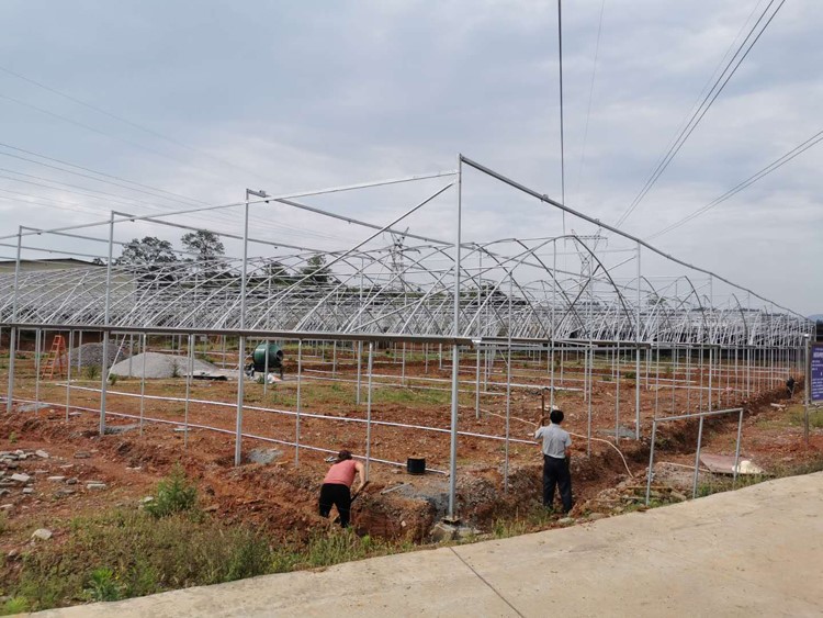 multi-span greenhouses multi-span greenhouses