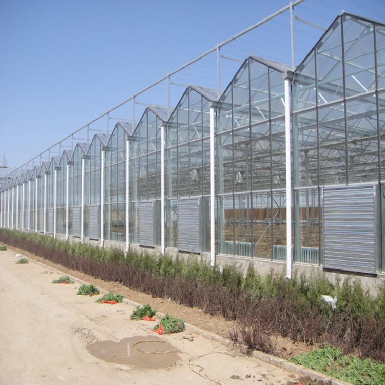 What to prepare for growing vegetable greenhouses What to prepare for growing vegetable greenhouses