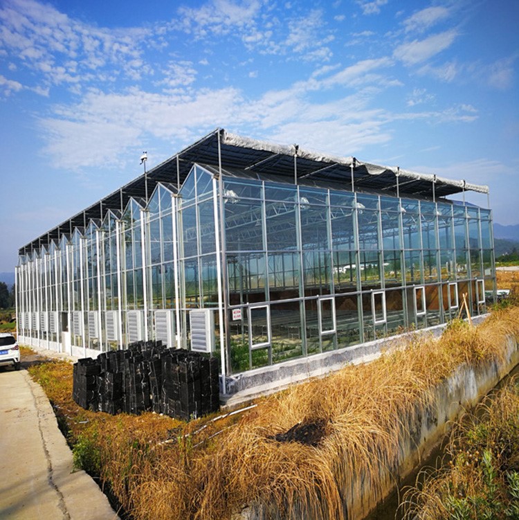 High-tech agricultural equipment turns winter into spring in greenhouses