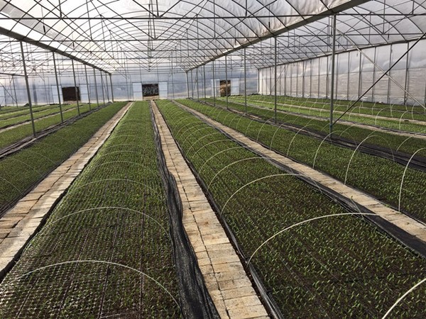 info-600-450 info-600-450