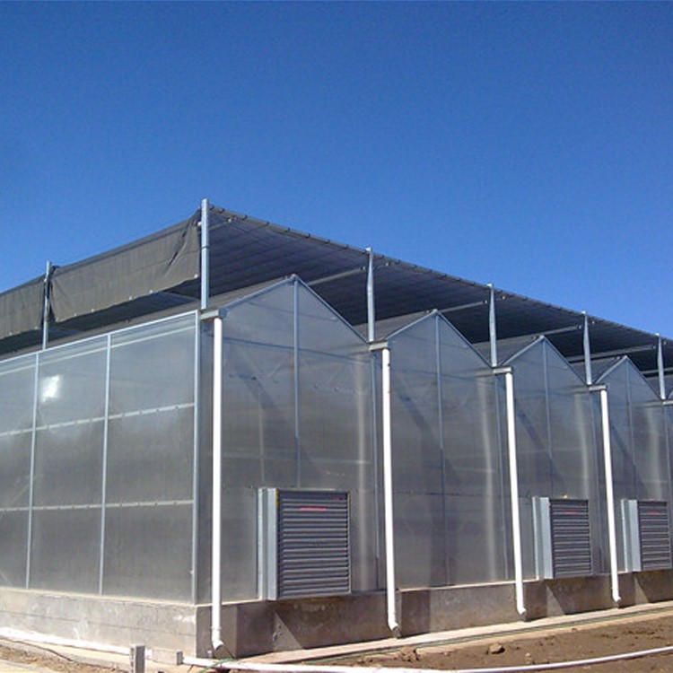 Muti-span Glass Greenhouse Muti-span Glass Greenhouse