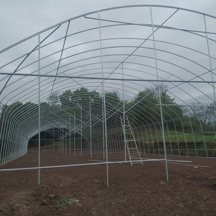 Tunnel Greenhouse Tunnel Greenhouse