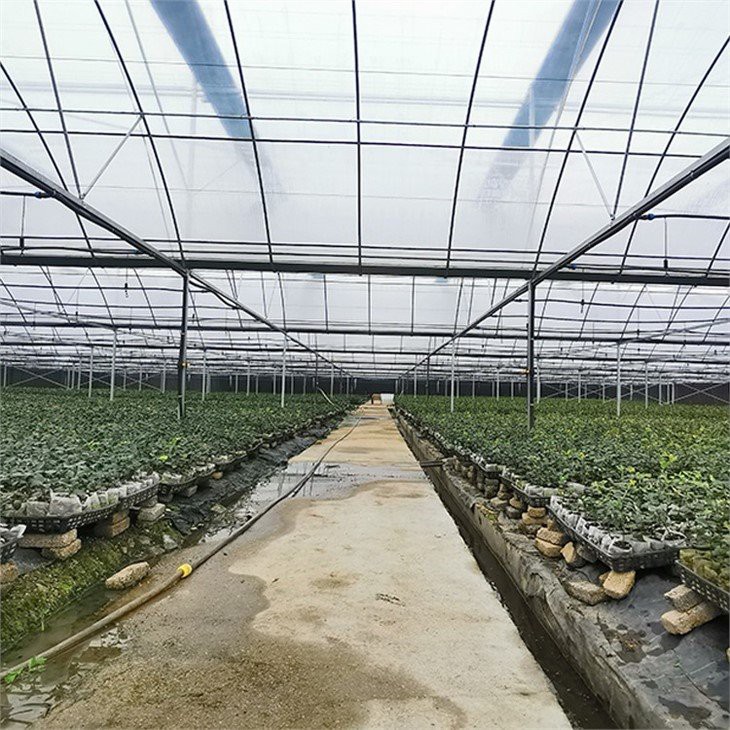 reinforced greenhouse plastic manufacture