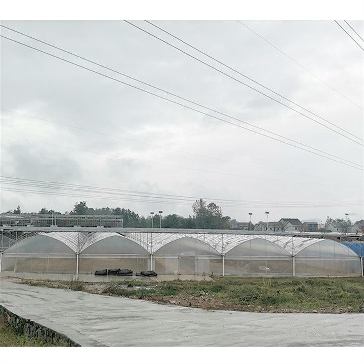 reinforced greenhouse plastic price