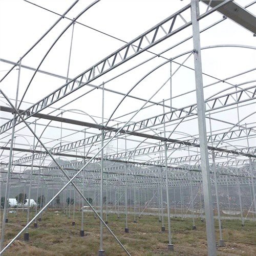 Greenhouse Balvaniz Ocele Framework