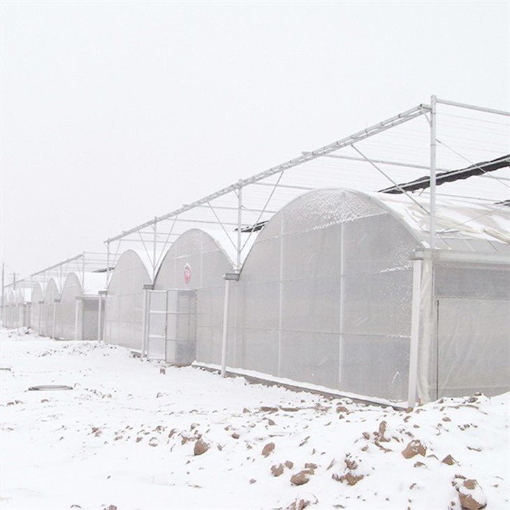 uv resistant greenhouse plastic sheeting price